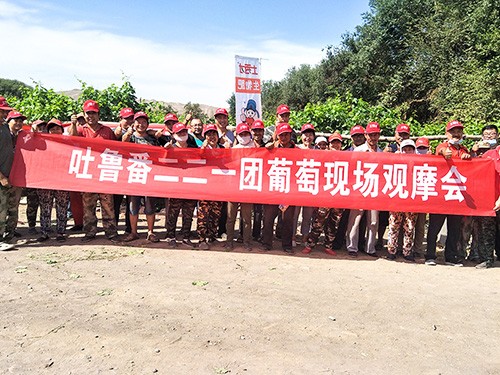 市場(chǎng)服務(wù)