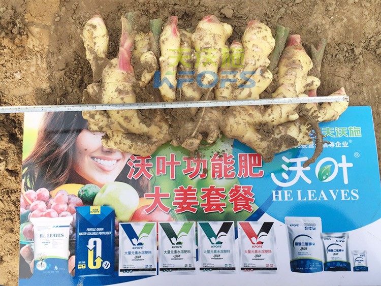 水溶肥用量少，可是效果卻很好！