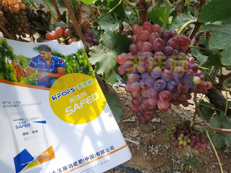 磷酸二氫鉀為什么都說(shuō)粉劑的好？