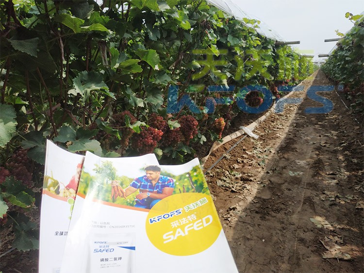 磷酸二氫鉀為什么都說(shuō)粉劑的好？