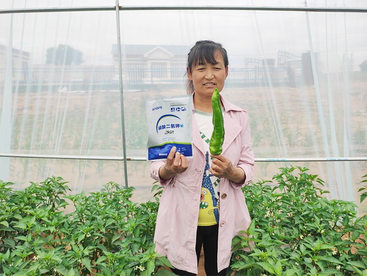 磷酸二氫鉀不好用？那是因?yàn)闆](méi)選對(duì)！