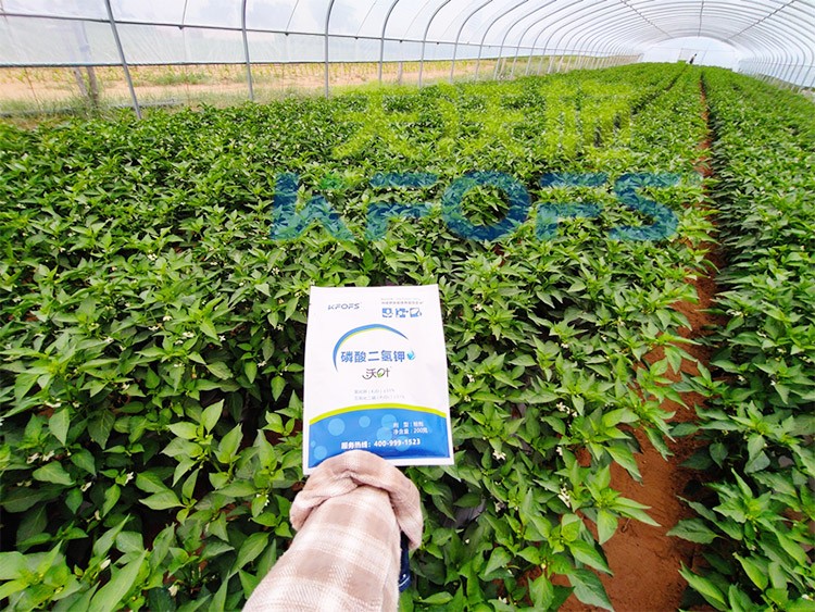 磷酸二氫鉀不好用？那是因?yàn)闆](méi)選對(duì)！
