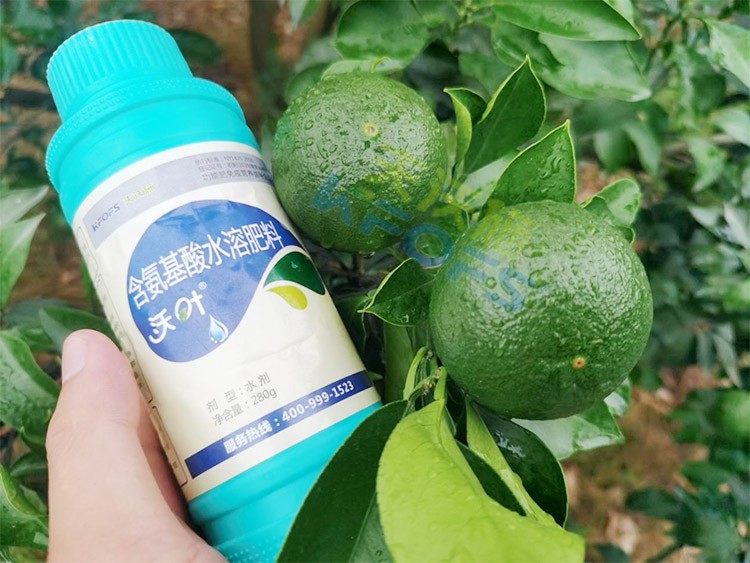 柑橘膨果轉(zhuǎn)色期用什么水溶肥好？