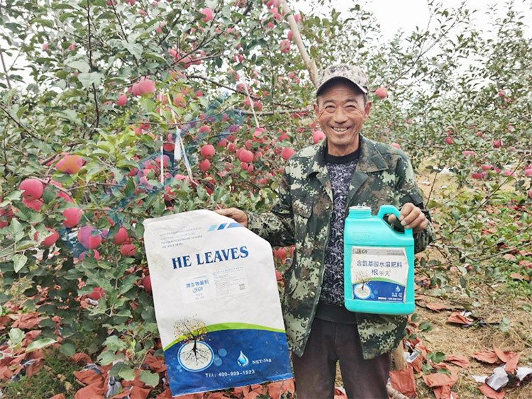 蘋果樹用什么生根肥好？看看這款！