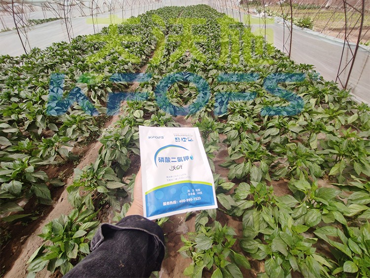 磷酸二氫鉀廠家，這家不要錯(cuò)過(guò)！