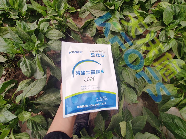 磷酸二氫鉀廠家，這家不要錯(cuò)過(guò)！