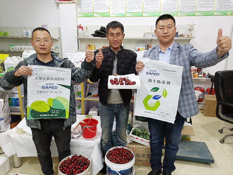 水溶肥哪家好？看完這篇不疑惑！