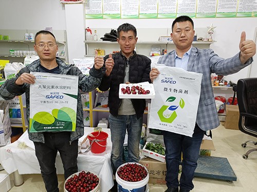 水溶肥哪家好？看完這篇不疑惑！