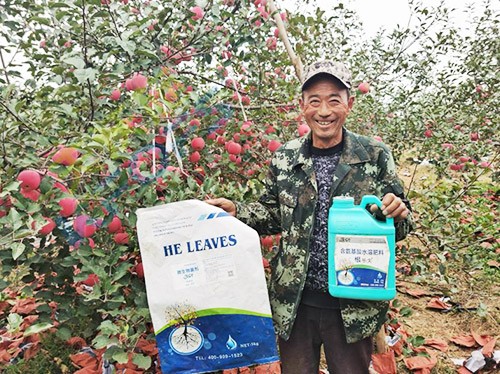 蘋(píng)果樹(shù)用什么生根肥好？看看這款！