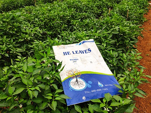 辣椒用什么水溶肥病害少？