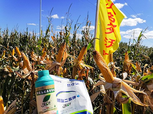 玉米葉面肥哪個(gè)品牌好？