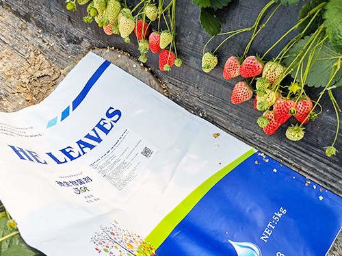 草莓微生物菌劑哪種好？別用錯了！