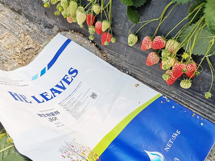 草莓微生物菌劑哪種好？別用錯(cuò)了！