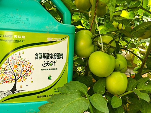 蔬菜沖施肥哪個品牌好？經(jīng)驗實談