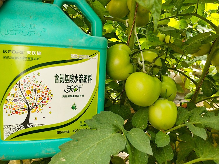 蔬菜沖施肥哪個品牌好？經(jīng)驗實談