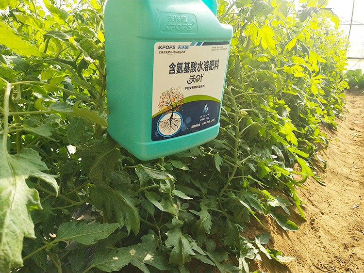 蔬菜沖施肥哪個品牌好？經(jīng)驗實談