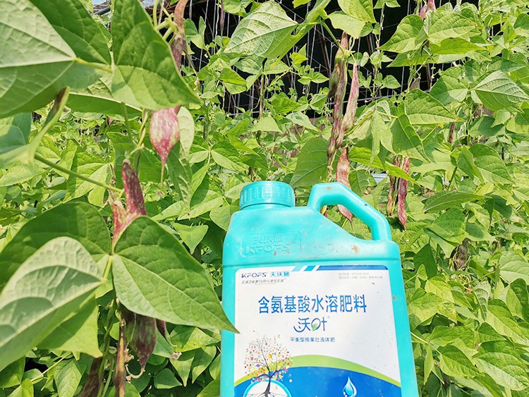 進(jìn)口水溶肥，懂行的人都這么選！