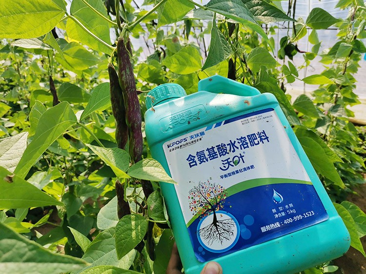 進(jìn)口水溶肥，懂行的人都這么選！