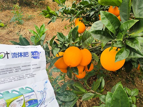 好的水溶肥是什么生產(chǎn)工藝？