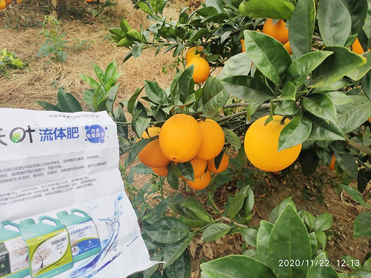 好的水溶肥是什么生產(chǎn)工藝？