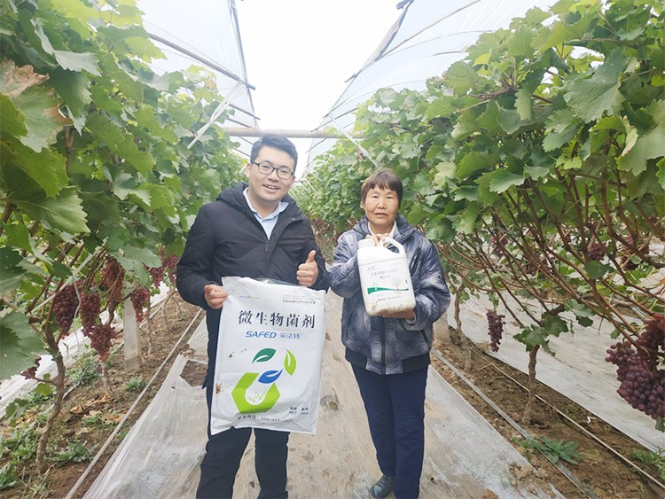 水溶肥廠家夫沃施都說好？好在哪？