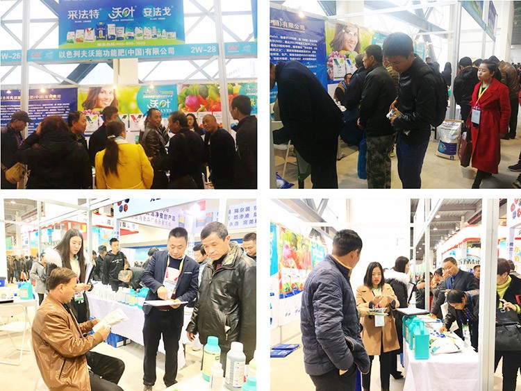 新時(shí)代背景下的楊凌農(nóng)高會(huì)，功能肥地位更凸顯