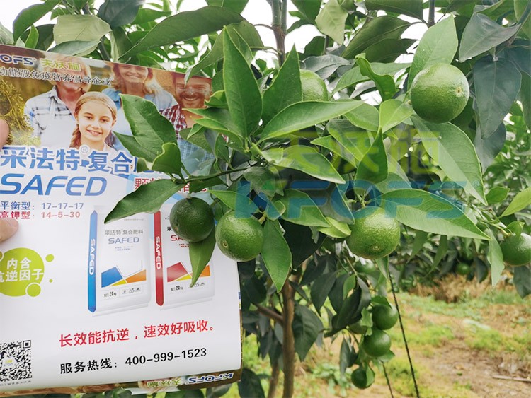 進口水溶肥怎么選？參考這三點就夠了！