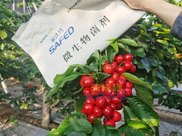 進口水溶肥怎么選？參考這三點就夠了！