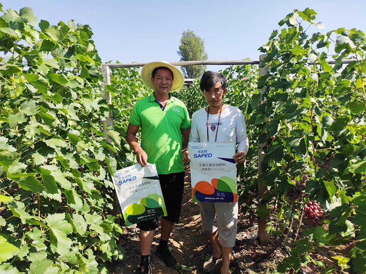 肥料廠家，有經(jīng)驗(yàn)的農(nóng)資人這樣選！