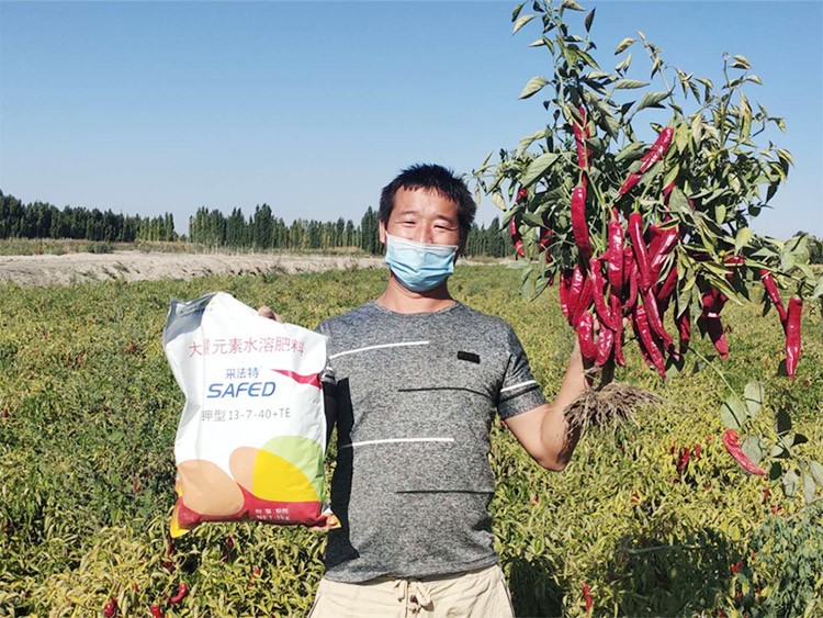 肥料廠家，有經(jīng)驗(yàn)的農(nóng)資人這樣選！