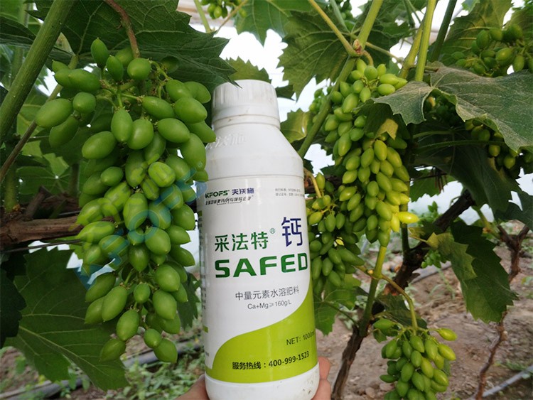 鈣肥什么品牌的比較好？