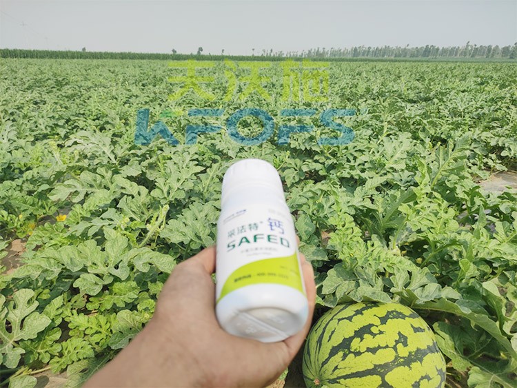 鈣肥什么品牌的比較好？