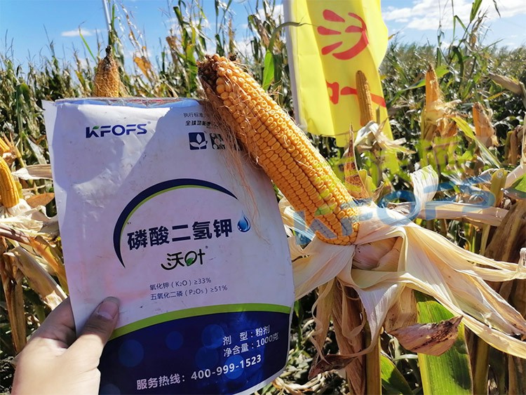 進(jìn)口磷酸二氫鉀哪個(gè)品牌好？