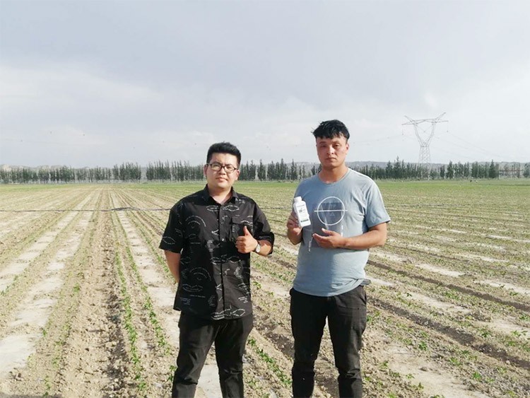 藥害還能恢復(fù)生長嗎？這篇告訴你！