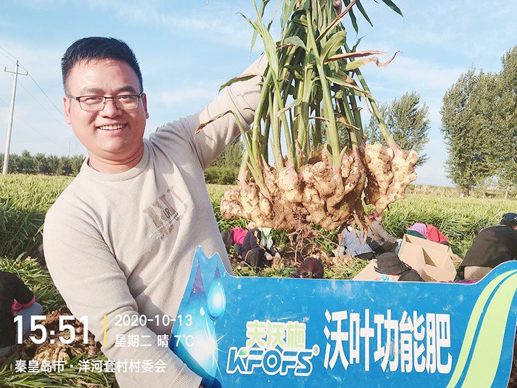 進口水溶肥推薦你選沃葉，這就是原因！