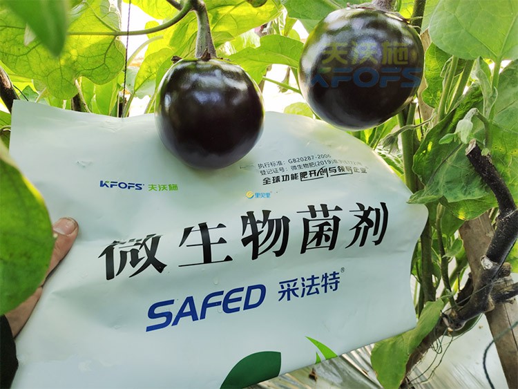 進(jìn)口水溶肥蔬菜上怎么用效果好？