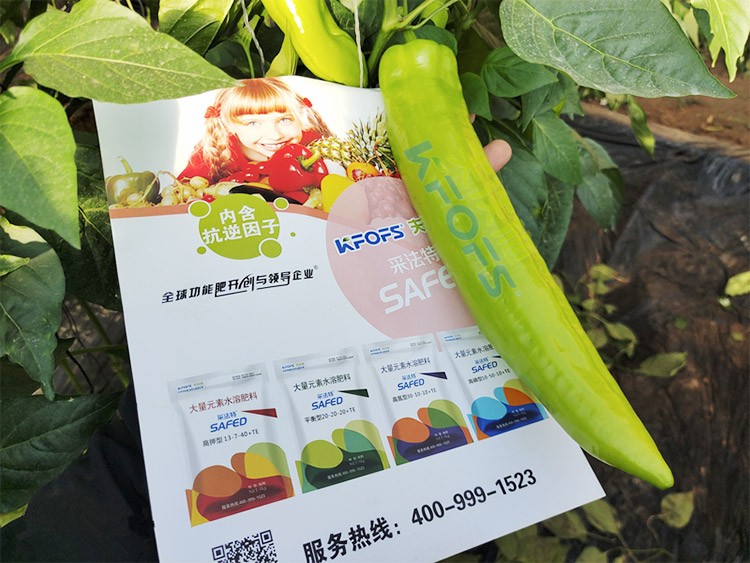 進(jìn)口水溶肥蔬菜上怎么用效果好？