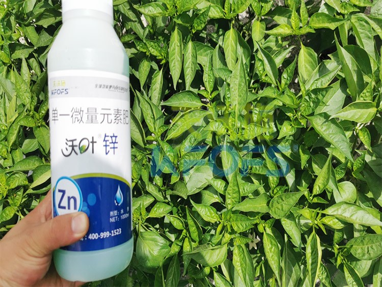 鋅肥是什么肥料？辣椒用有什么好處？