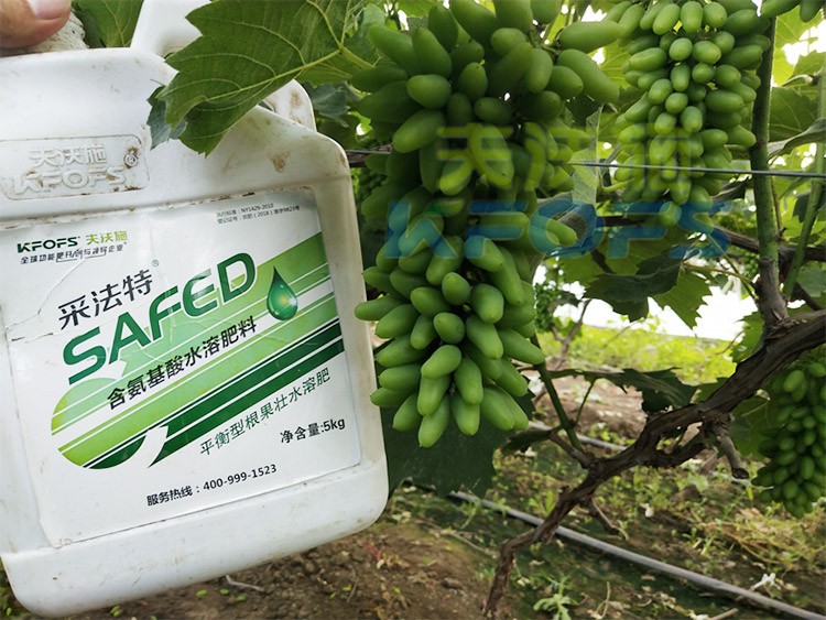葡萄水溶肥品牌哪個好？案例告訴你！