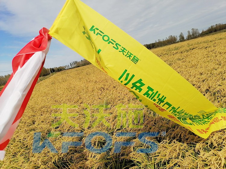 水稻用水溶肥，這三個(gè)方面的效果很明顯！