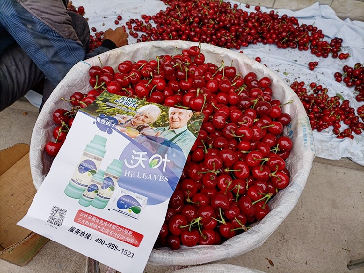 果樹葉面肥哪個品牌好？