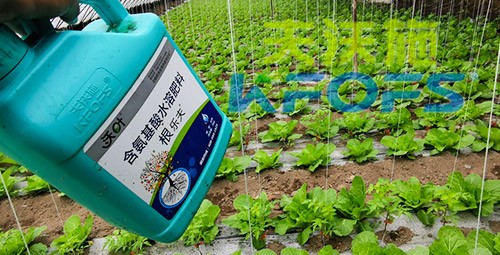 蔬菜用進(jìn)口水溶肥，有什么突出效果？