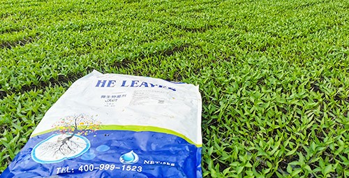 黃瓜用這樣的水溶肥，產(chǎn)量就是高！