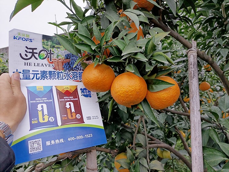 果樹水溶肥什么牌子好？