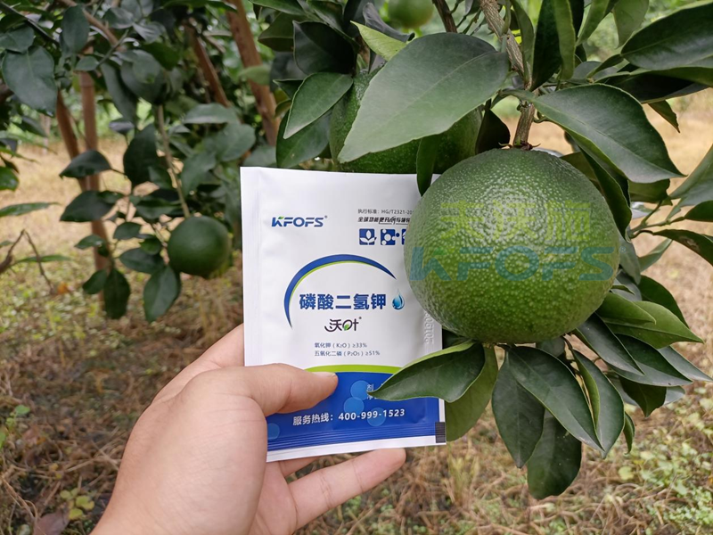 磷酸二氫鉀在果樹(shù)上使用有什么好處？
