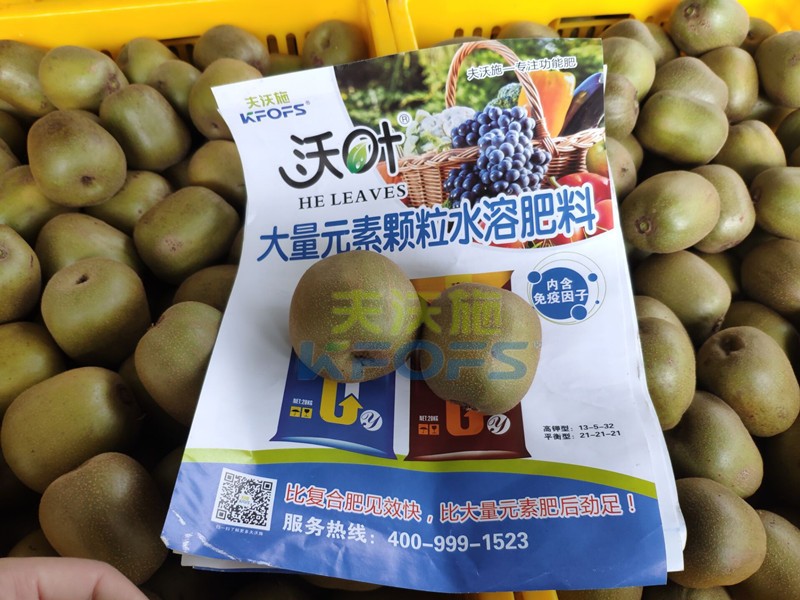 獼猴桃用哪款顆粒水溶肥產(chǎn)量高？