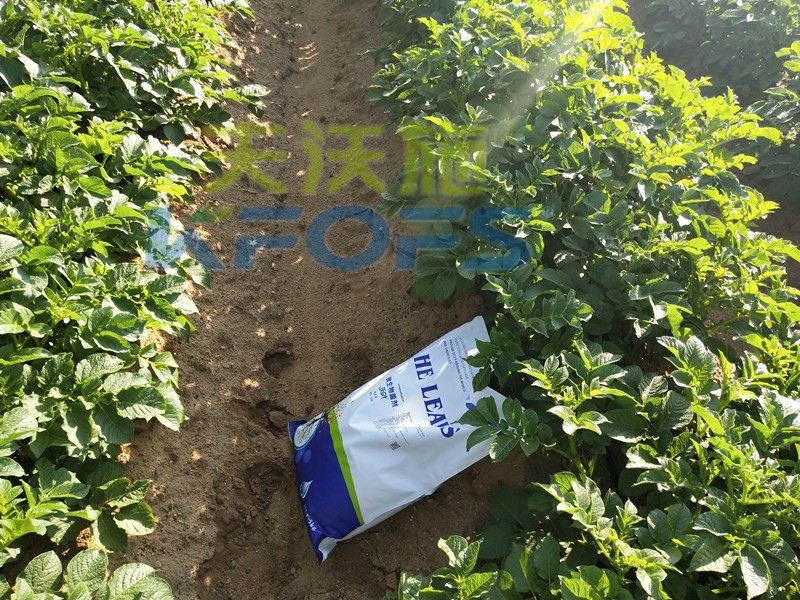 8年種植經(jīng)驗(yàn)老農(nóng)說(shuō)，種土豆用什么肥料好！