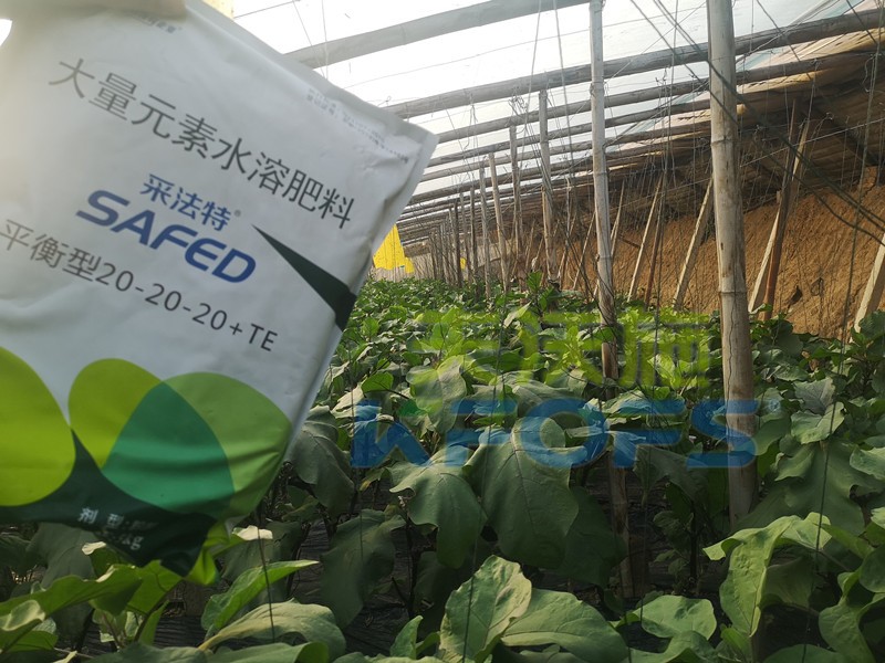 老農(nóng)資人都認準哪款大量元素水溶肥？
