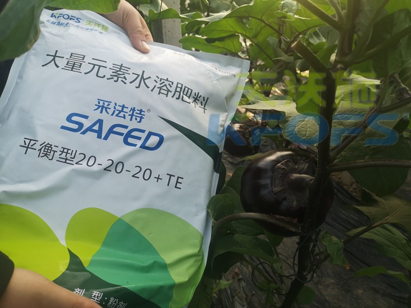 大量元素水溶肥-茄子用采法特大量元素.jpg
