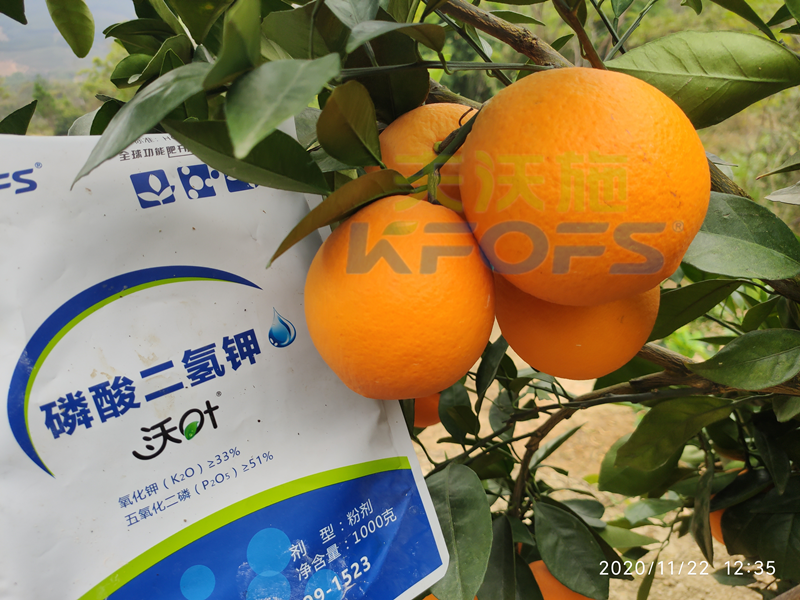 水溶肥市場雜亂無章，種植朋友該選什么樣的產(chǎn)品？